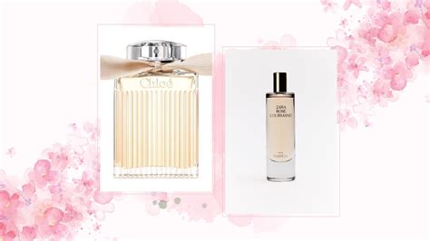 dupe chloe perfume|zara rose gourmand perfume dupe.